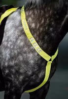 Equi-Flector bred reflexbrösta