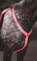 Equi-Flector bred reflexbrösta