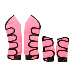 Globus Sport transportskydd