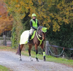 Equi-Flector® Mesh Exercise Sheet Yellow