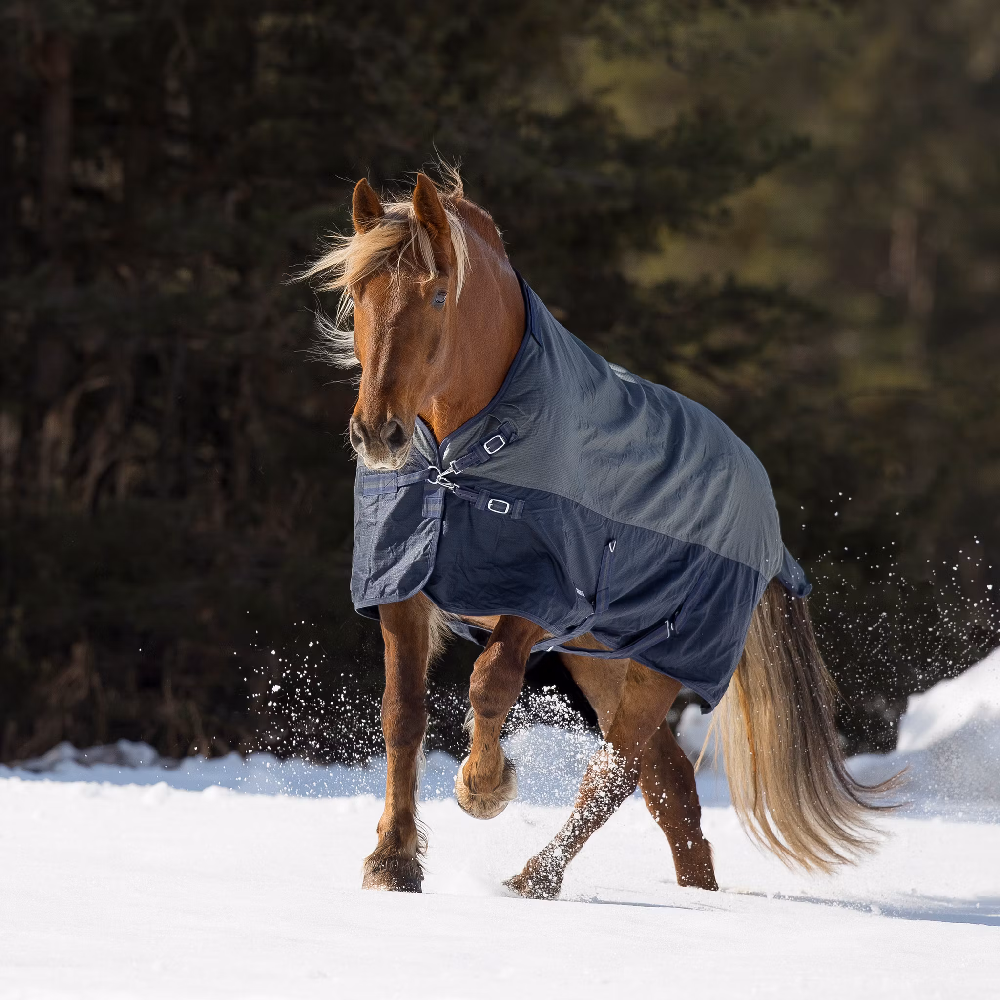Busse Turnout Rug Active PRO 150
