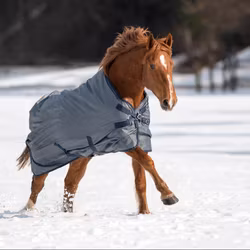Busse Turnout Rug Windchill 50