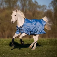 Busse Turnout Rug Windchill 00