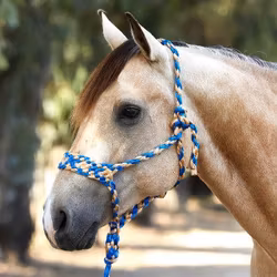 Weaver Braided Ropehalter Blue/Tan
