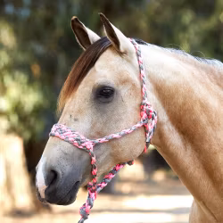 Weaver Braided Ropehalter Gray/Pink