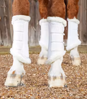 Premier EquineTechno Wool Brushing Boots B