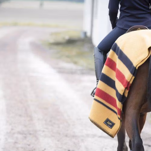 Lippo Ullfilt 60% Newmarket