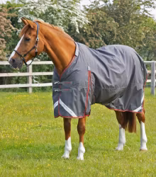 Premier Equine Buster 150g Turnout Rug with Classic Neck Cover Grey