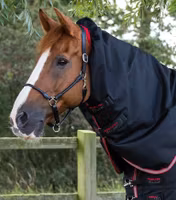 Premier Equine Titan 100g Turnout Rug with Snug-Fit Neck Cover Black