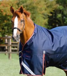 Premier Equine Titan 100g Turnout Rug with Snug-Fit Neck Cover Navy