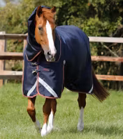 Premier Equine Titan 100g Turnout Rug with Snug-Fit Neck Cover Navy