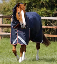 Premier Equine Titan 100g Turnout Rug with Snug-Fit Neck Cover Navy