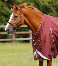 Premier Equine Buster Zero Turnout Rug with Classic Neck Cover Burgundy