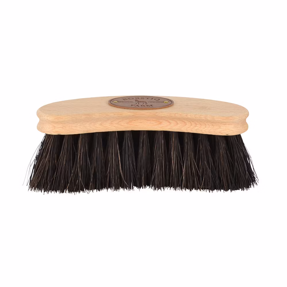 Borstiq midjeborste Arenga