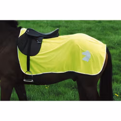 Norton exercise sheet