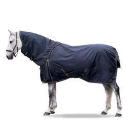 Lippo Basic Plus 600D 50 g