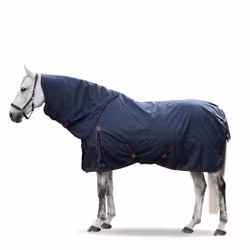 Lippo Basic Plus 600D 100 g