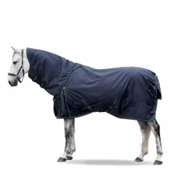 Lippo Basic Plus 600D 400 g