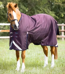 Premier Equine Titan 200g Original Turnout Rug purple