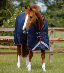 Premier Equine Titan 200g Original Turnout Rug navy