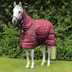 Premier Equine Hydra 350g Stable Rug with Neck Cover B