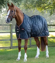 Premier Equine Tuscan Stable Rug 100 g Black