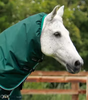 Premier Equine Buster 200g Turnout Rug with Snug-Fit Neck Cover Green B