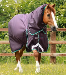 Premier Equine Buster 200g Turnout Rug with Snug-Fit Neck Cover Purple B