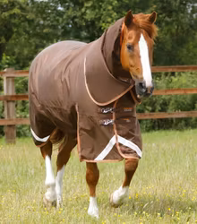 Premier Equine Titan 300g Turnout Rug with Snug-Fit Neck Cover Brown