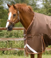 Premier Equine Titan 300g Turnout Rug with Snug-Fit Neck Cover Brown