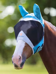 Shires flughuva med öron, teal/grey