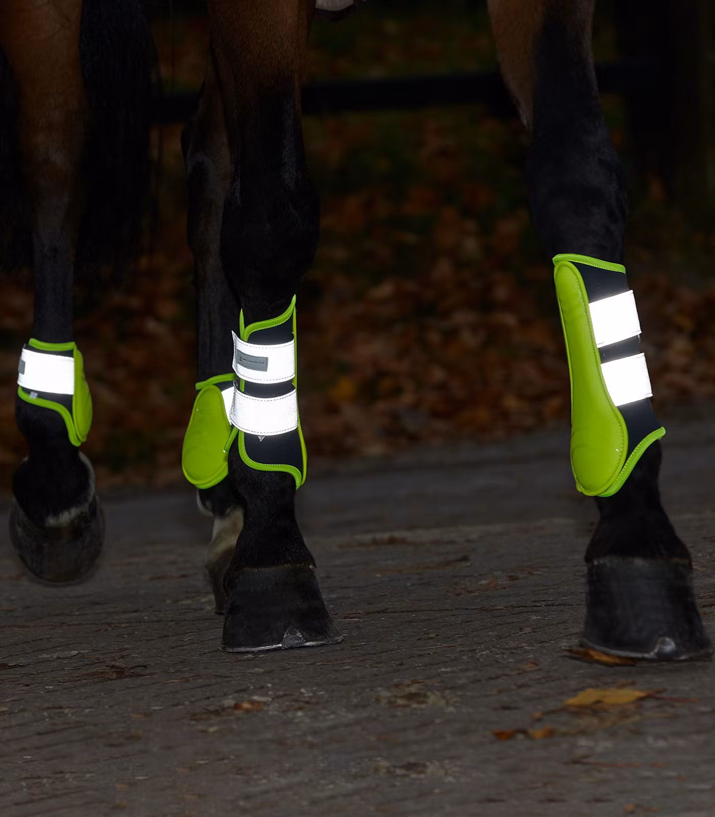 Waldhausen reflexboots
