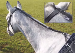 Shires gräsätartygel
