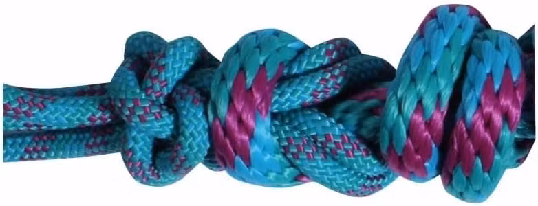 Professionals Choice rope halter Teal Pink