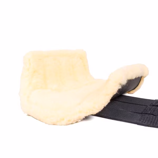 Globus Sport dressyrskydd Svart/Natur