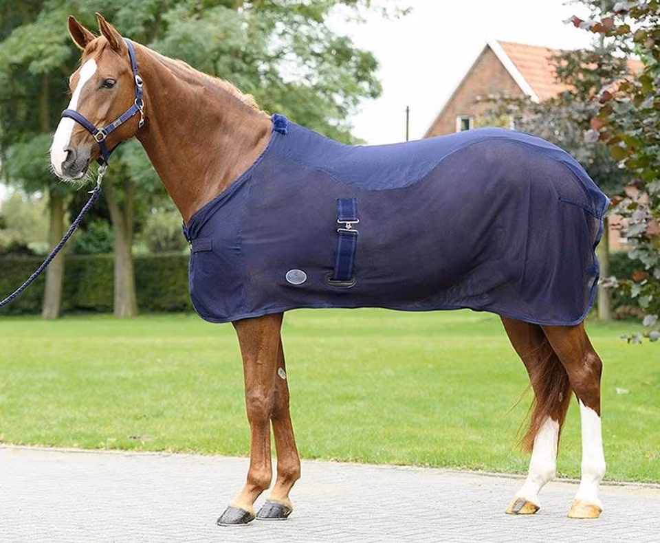 Busse Sweat Rug Summer -Fly II