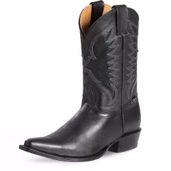 Stars & Stripes WB-66 westernboots B