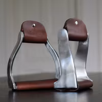 All That Twisted Stirrups no. 1
