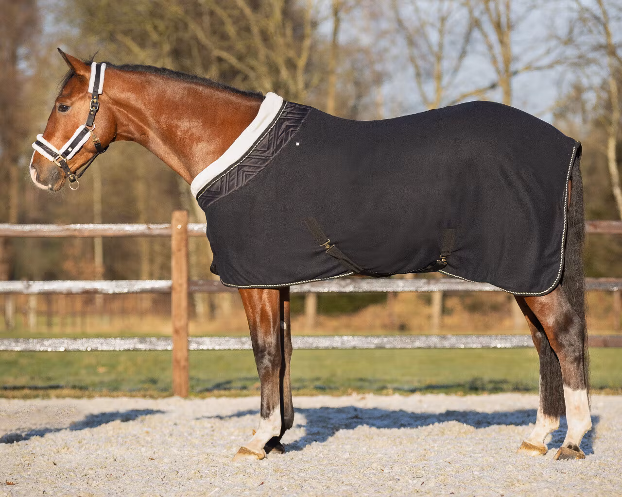 QHP Show Rug Menton Black