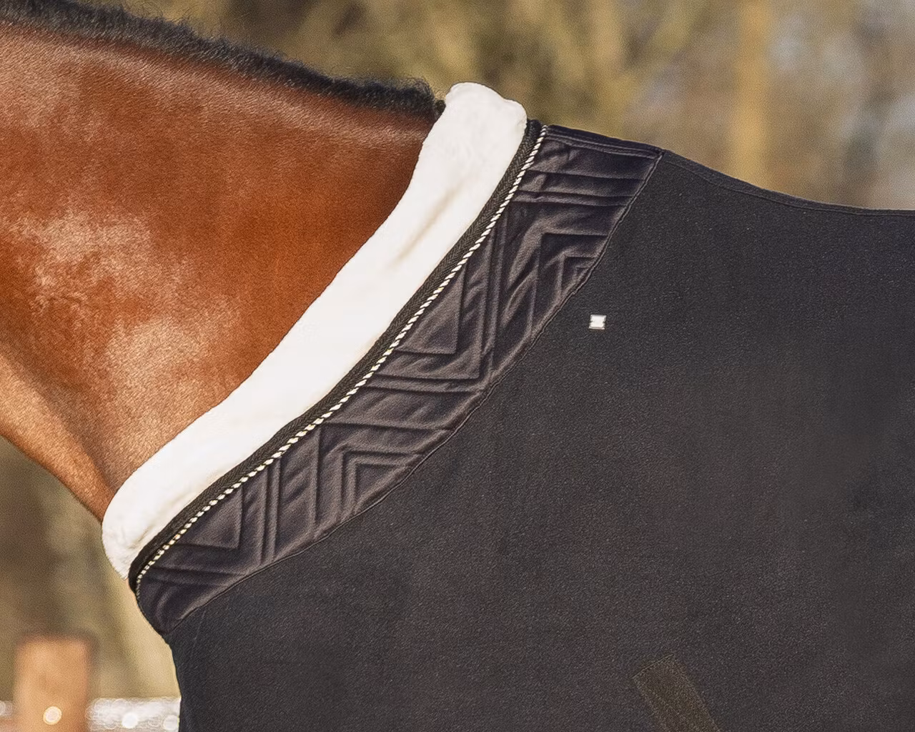 QHP Show Rug Menton Black