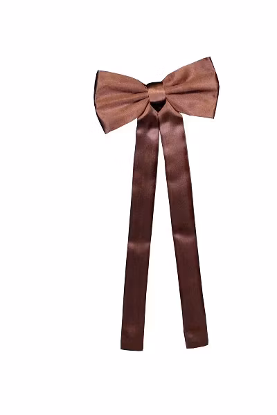 Stars & Stripes Western Tie Brown