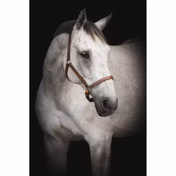 Lippo grimma Supreme Midbrown