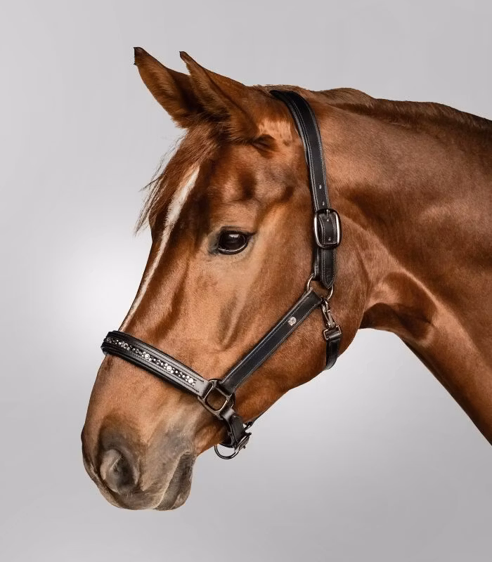 Waldhausen Crystal Leather Halter Black/Grey