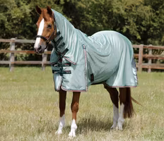 Premier Equine Combo Mesh Air Fly Rug with Surcingles Mint Green