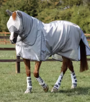 Premier Equine Super Lite Fly Rug with Surcingles B