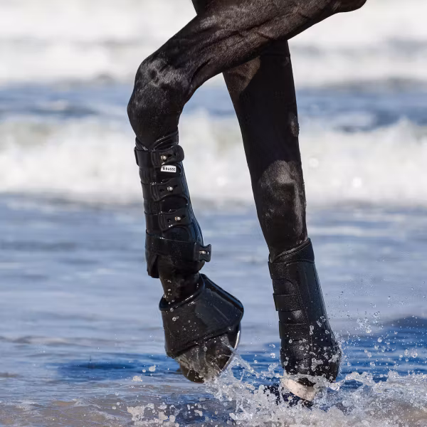 Busse dressyrskydd Pro Mesh Svart