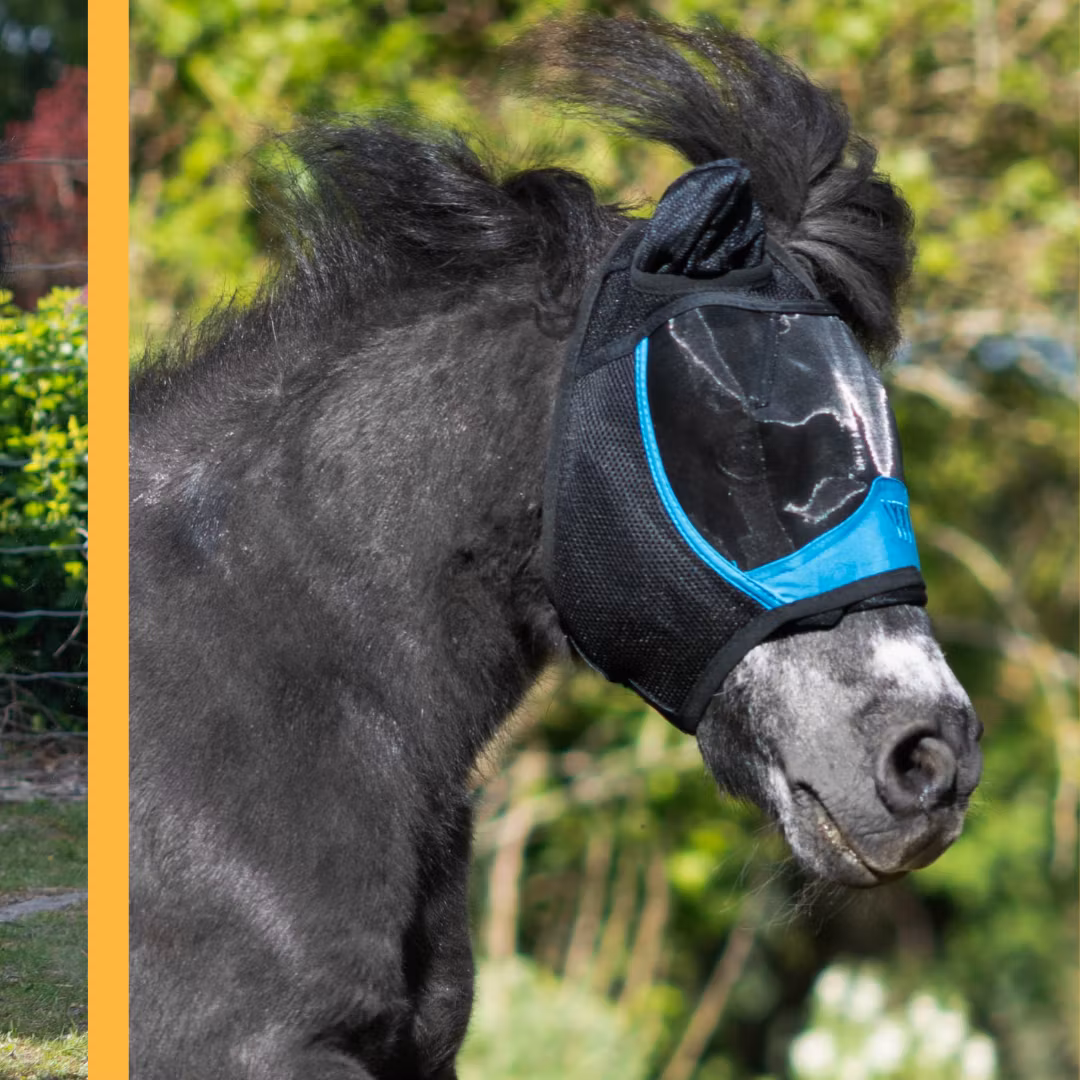 Woof Wear flugmask med öron