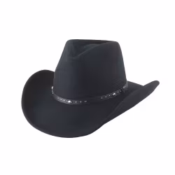 Bullhide Hats Cowboy Hat Arlington