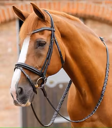 Premier Equine Bellissima Crank Bridle with Diamante Browband Black