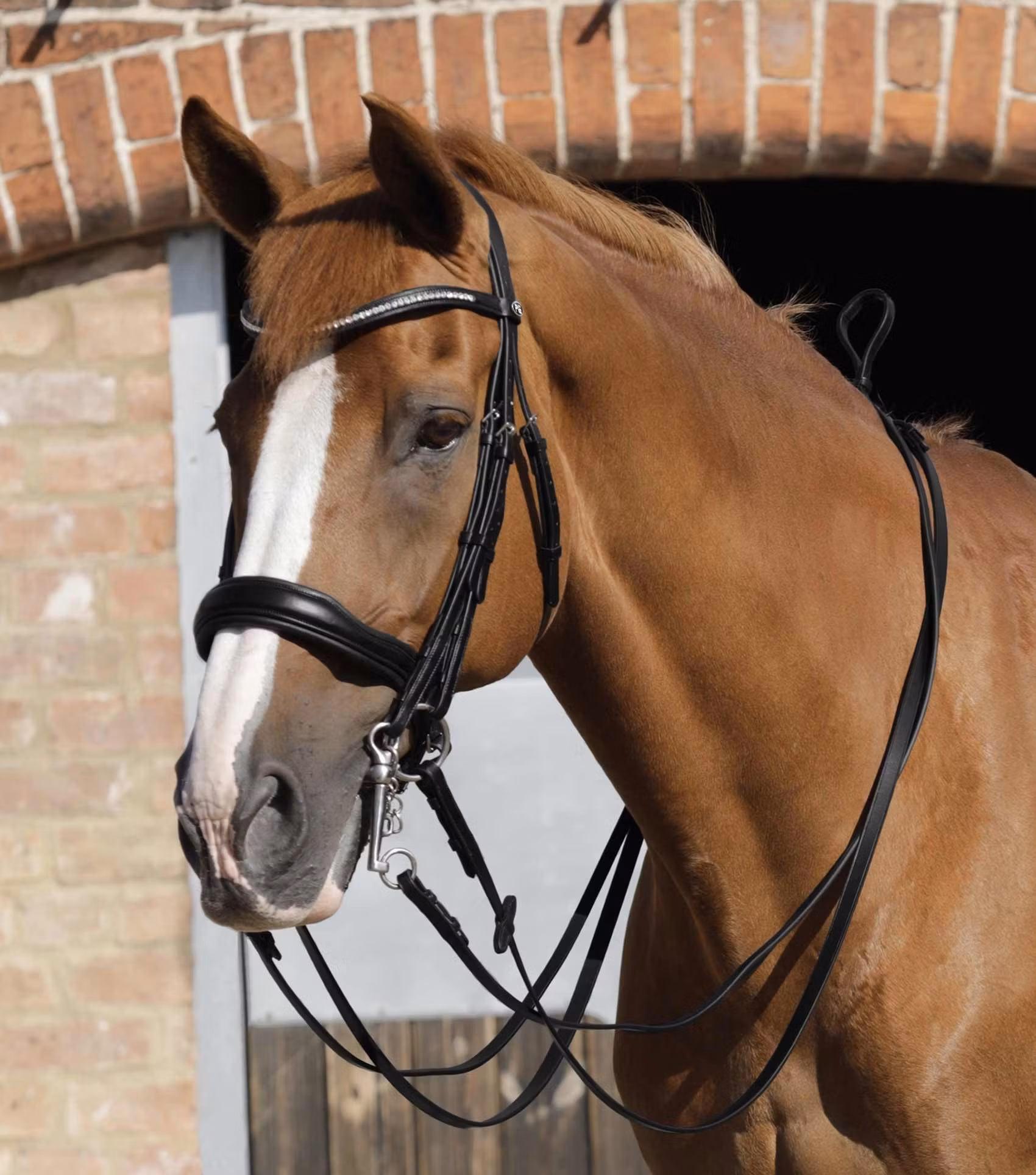 Premier Equine Luigi Plain Leather Reins Black